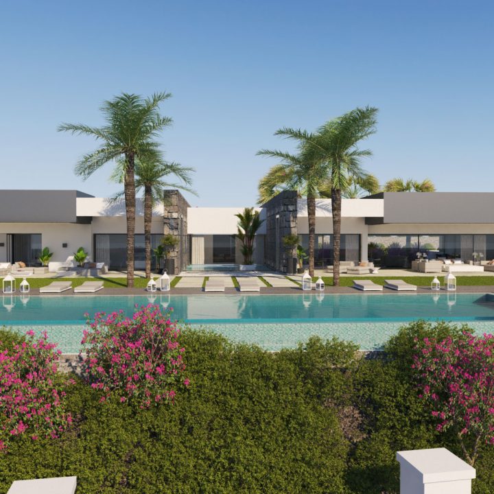 Low contemporary villa with palms, pool and flowering hedge